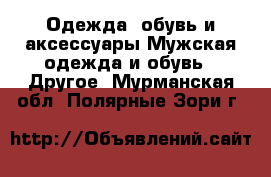 Одежда, обувь и аксессуары Мужская одежда и обувь - Другое. Мурманская обл.,Полярные Зори г.